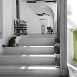 112 Cliff 3* Fira (Santorini)